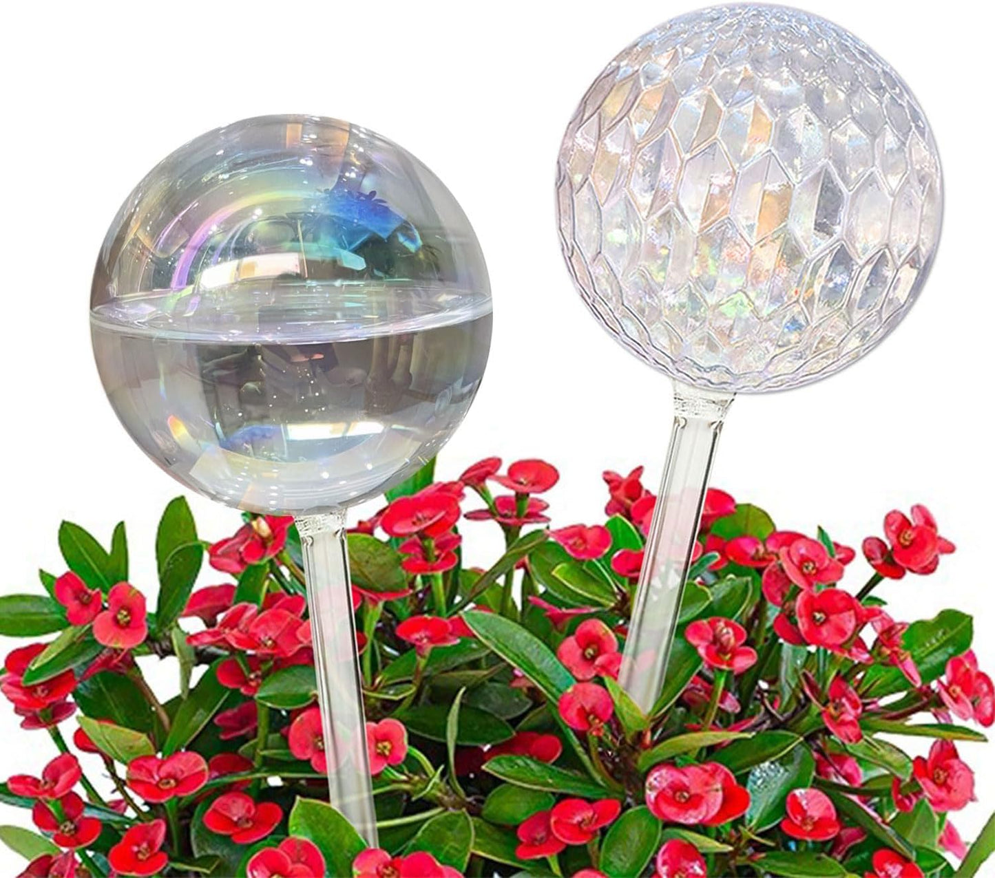 2-Pack Glass Watering Globes - 17oz, 2-Week Self-Watering for Plants (Iridescent