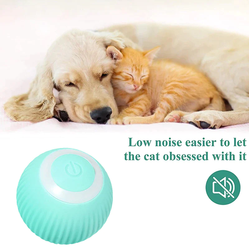 ZoomPaws™ – Self-Moving Smart Ball for Cats & Small Dogs