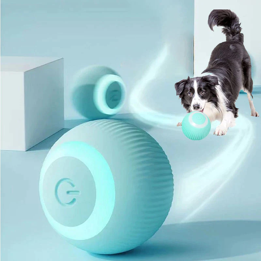 ZoomPaws™ – Self-Moving Smart Ball for Cats & Small Dogs