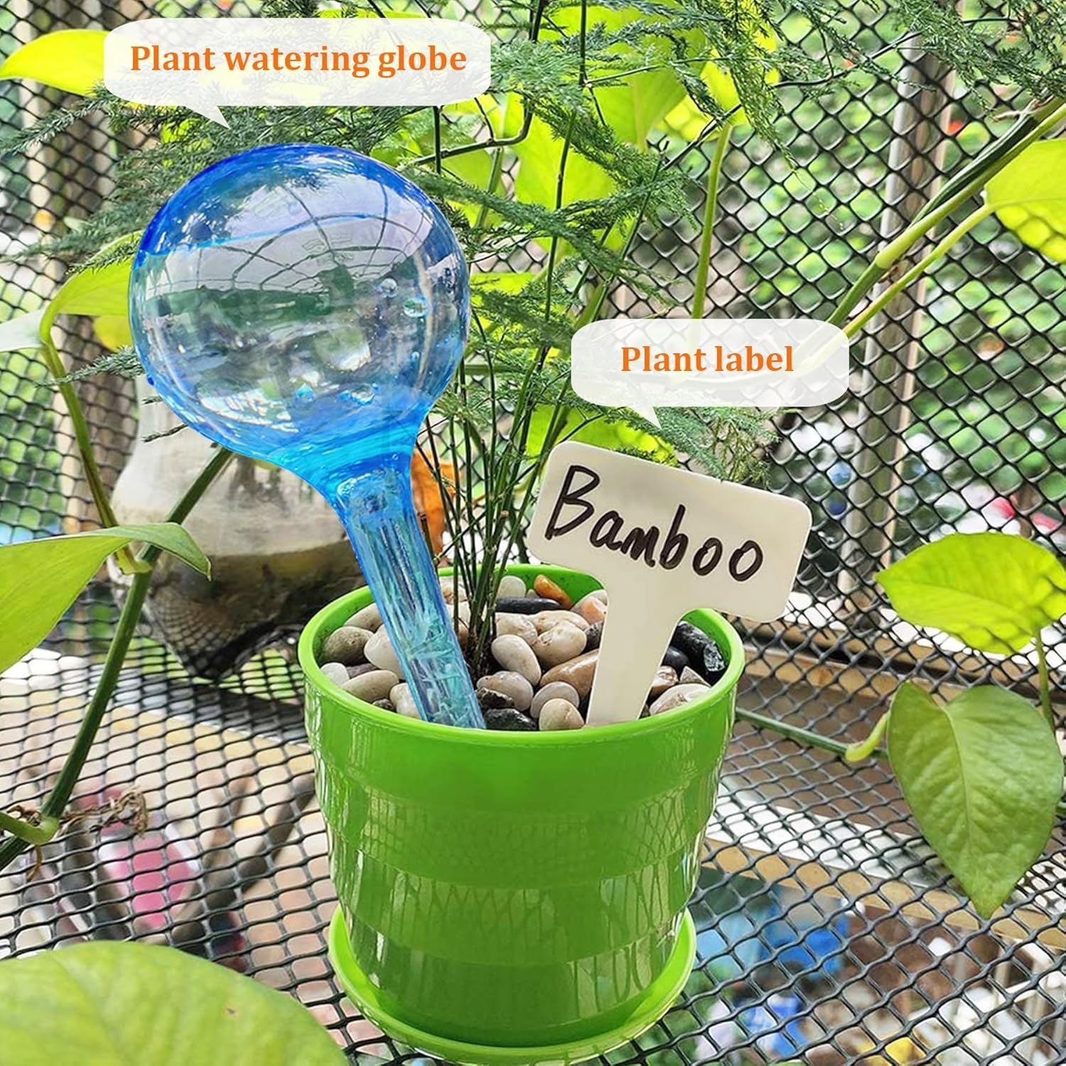 Automatic Watering Globes (10-Pack) - Indoor/Outdoor Use