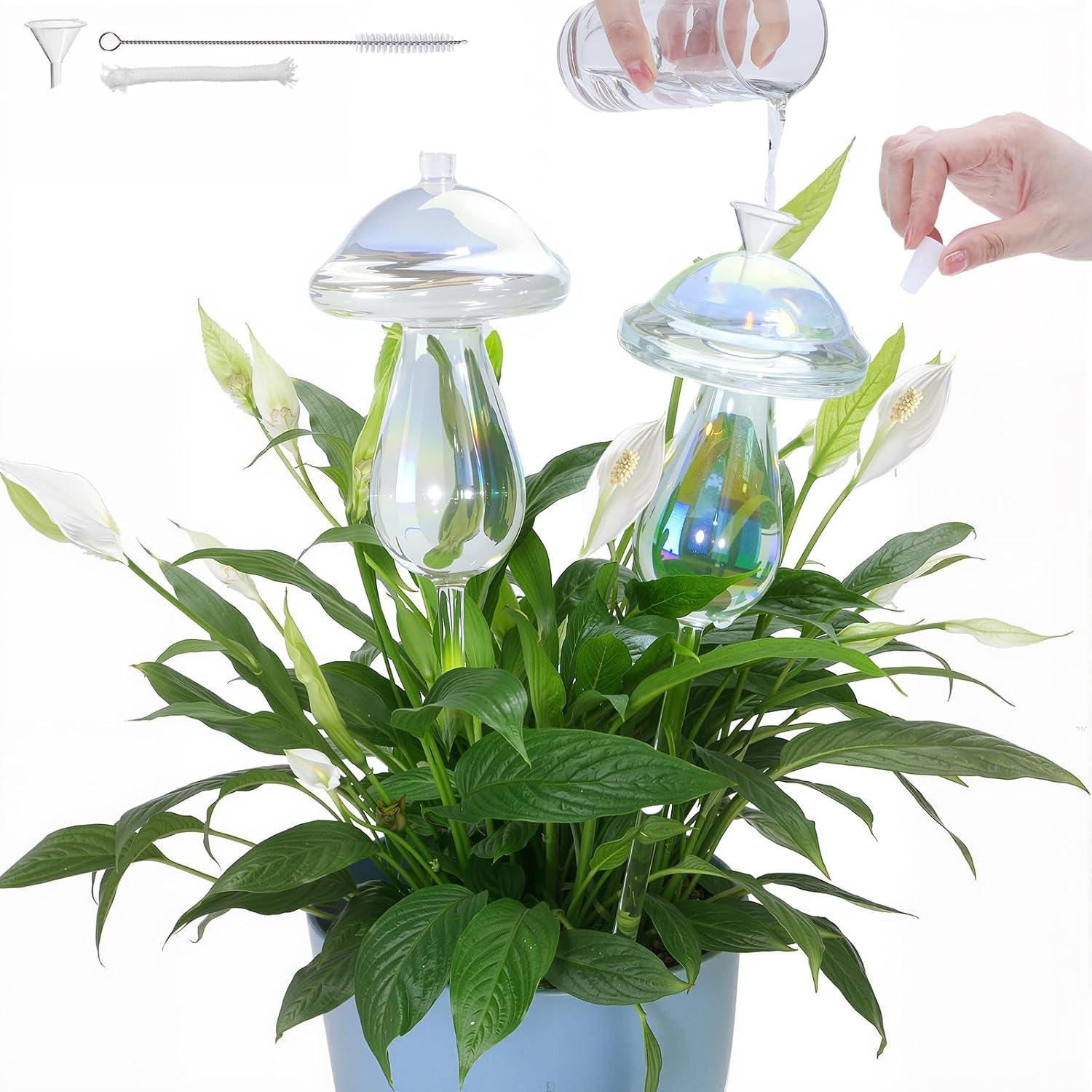 Self-Watering Bulbs for Plants – 15-Day Vacation Watering