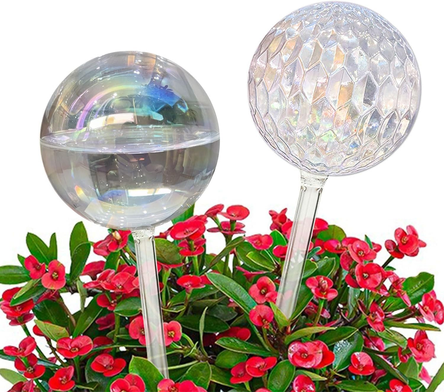 2-Pack Glass Watering Globes - 17oz, 2-Week Self-Watering for Plants (Iridescent