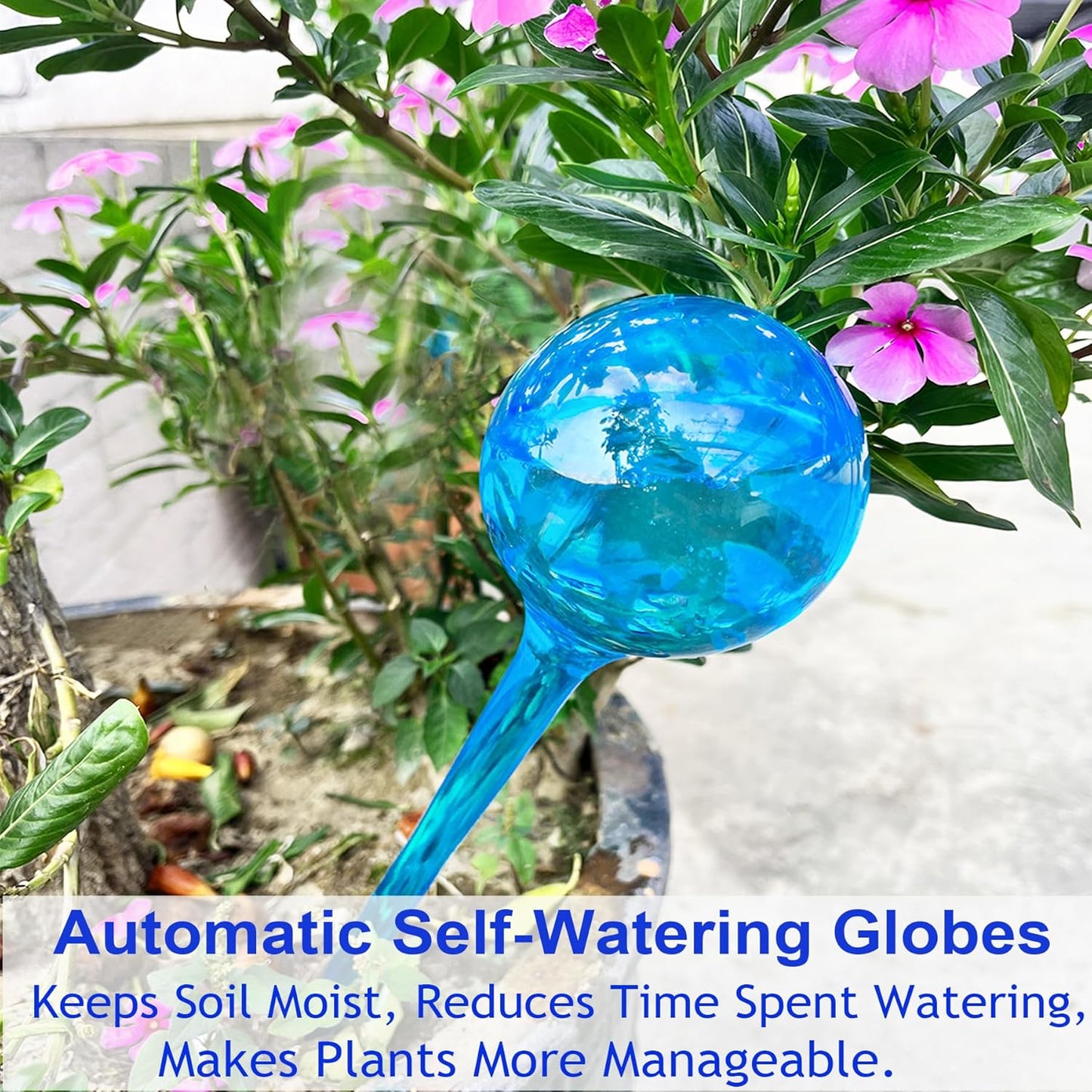 Automatic Watering Globes (10-Pack) - Indoor/Outdoor Use